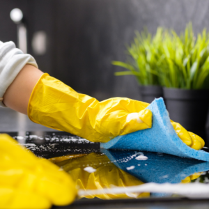 Read more about the article Domestic/ Handy Help in the Netherlands