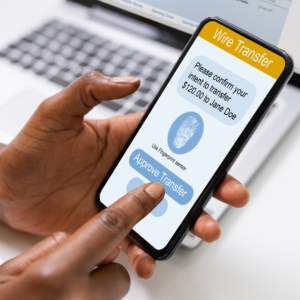 Read more about the article Ways to Transfer Money to Nigeria