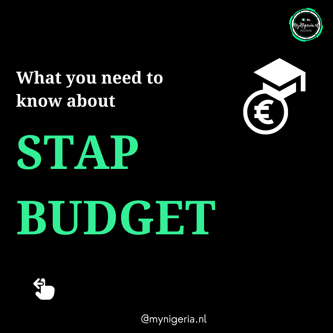 Read more about the article STAP BUDGET